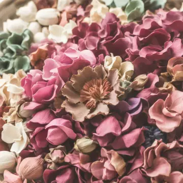 A heap of dried rose petals and flower heads