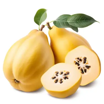 Quinces, one cut in half, with leaves