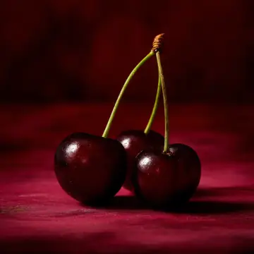 Dark, almost black cherries on their stems