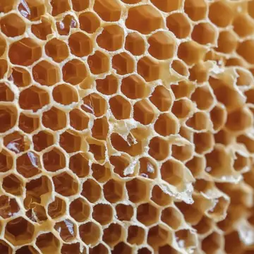 A close-up of golden honeycomb