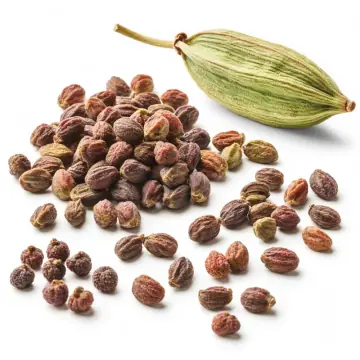 Green cardamom pods and seeds