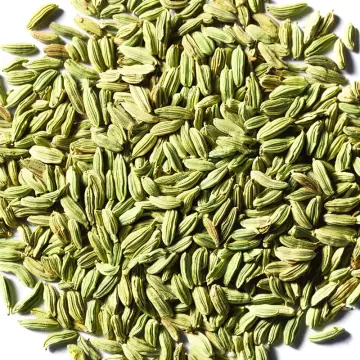 Pale green fennel seeds