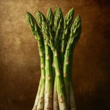 A bunch of green asparagus