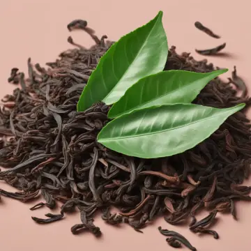 Loose black tea leaves with fresh tea leaves