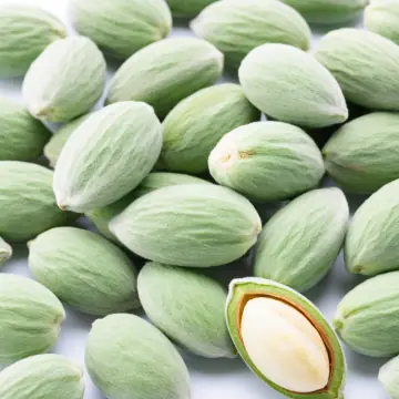 Green almonds in their fuzzy shells, one split open