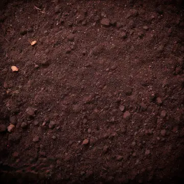 A close-up of dark, crumbly soil